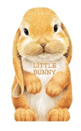 Mini Look At Me Book - Little Bunny