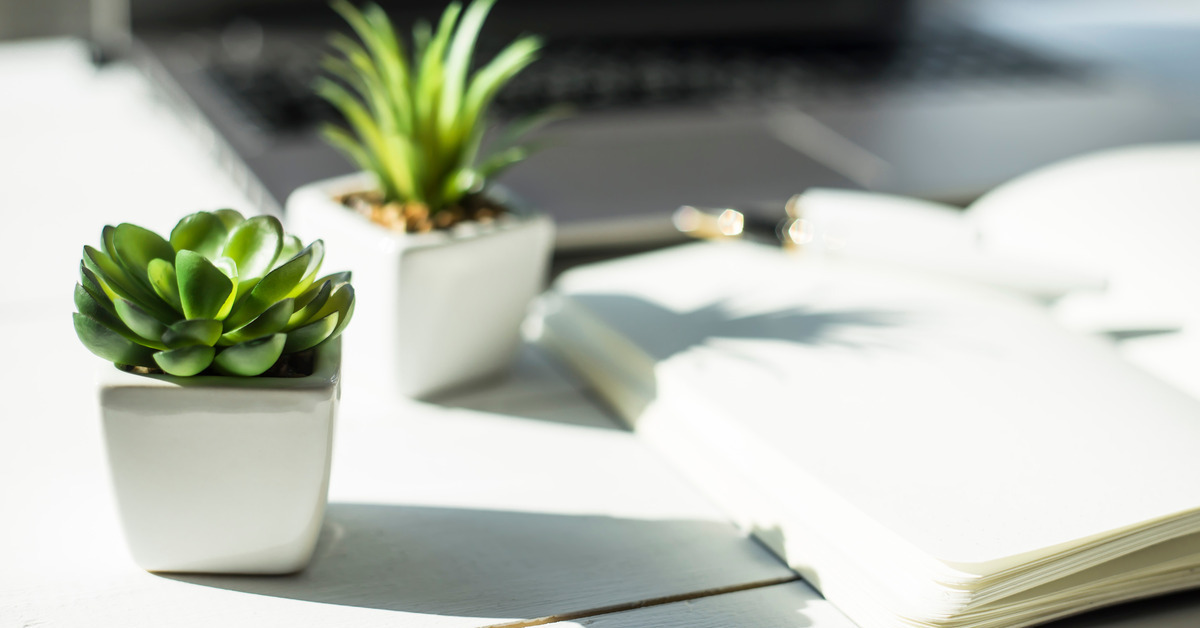 13 Unique Small Gift Ideas for Teachers Two small succulents in square, white pots on a white desk with an open notebook and a silver laptop.